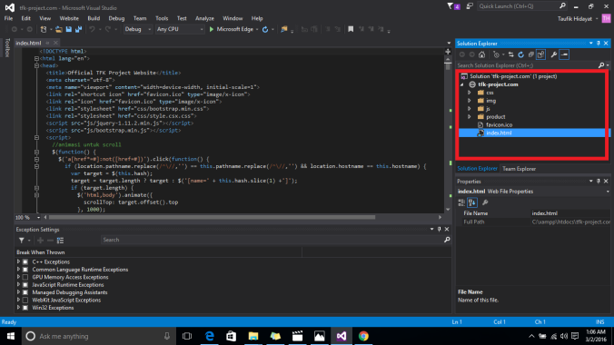 Visual Studio - Editor
